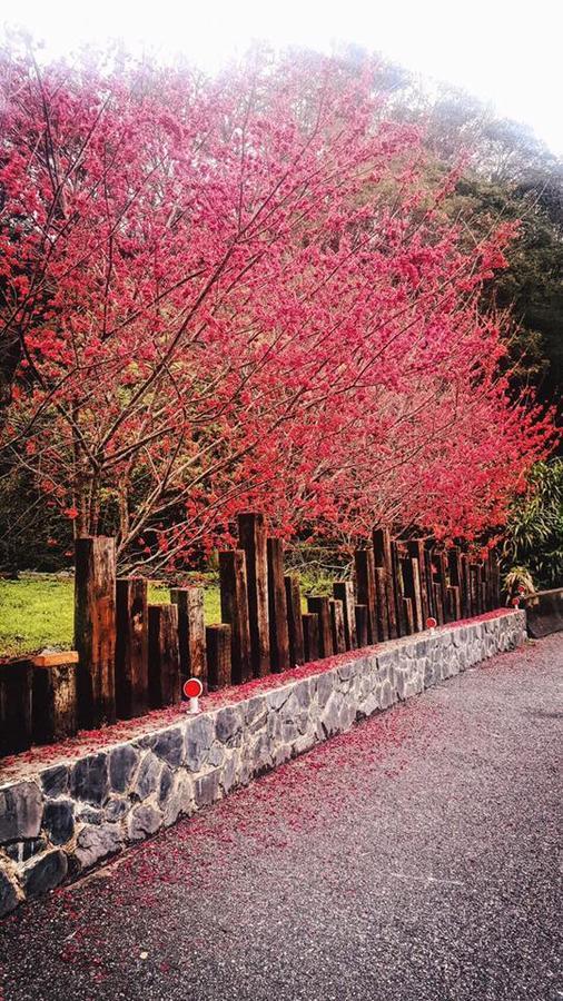 Taroko Formosa Homestay Xiulin Exteriér fotografie