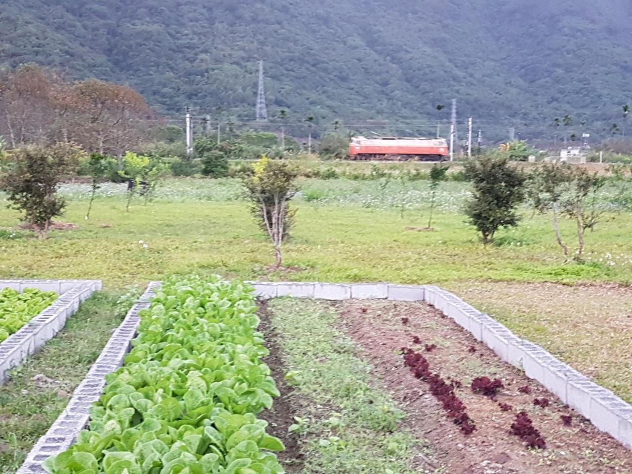 Taroko Formosa Homestay Xiulin Exteriér fotografie